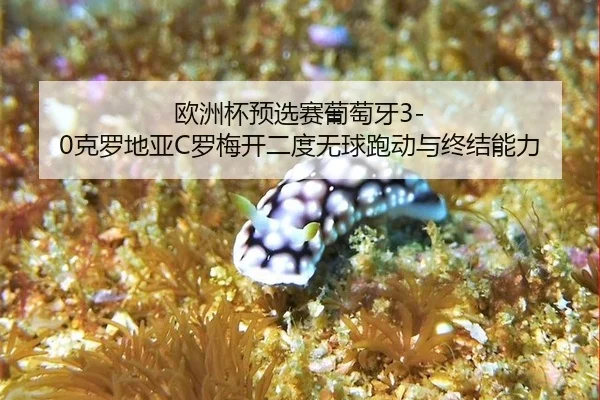 欧洲杯预选赛葡萄牙3-0克罗地亚C罗梅开二度无球跑动与终结能力
